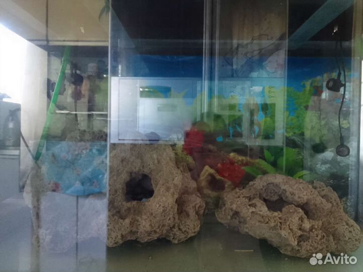 Аквариум 240 литров
