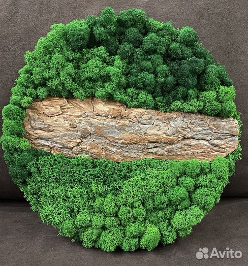 Картина из стабилизированного мха