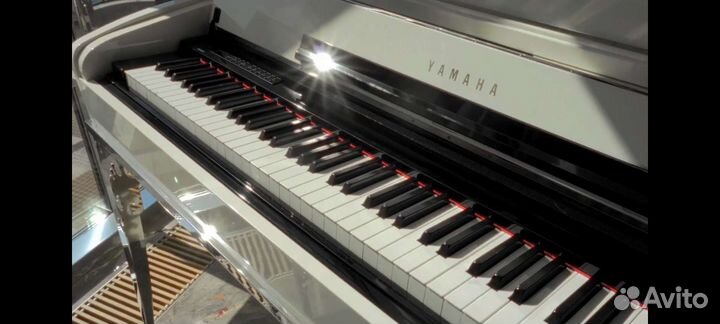 Ведооператор/видеосъемка/видеограф