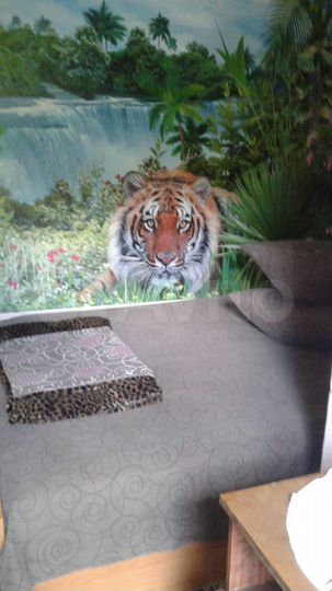 Комната 20 м² в 1-к., 1/1 эт.