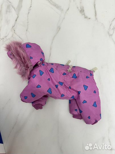 Одежда для маленьких собак бу