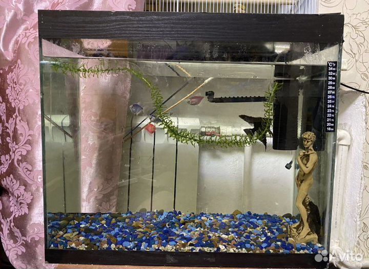Аквариум