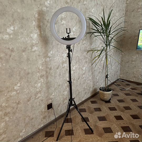 Профессиональная кольцевая лампа Fosoto