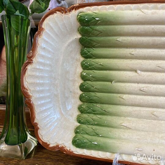 Сухарница спаржа