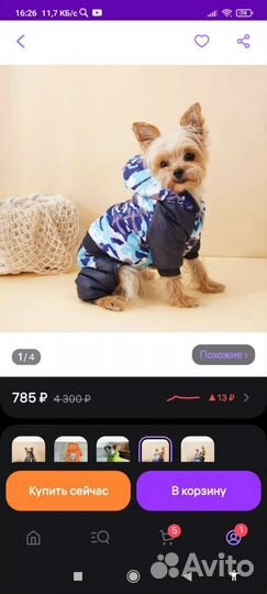 Собачий комбинезон