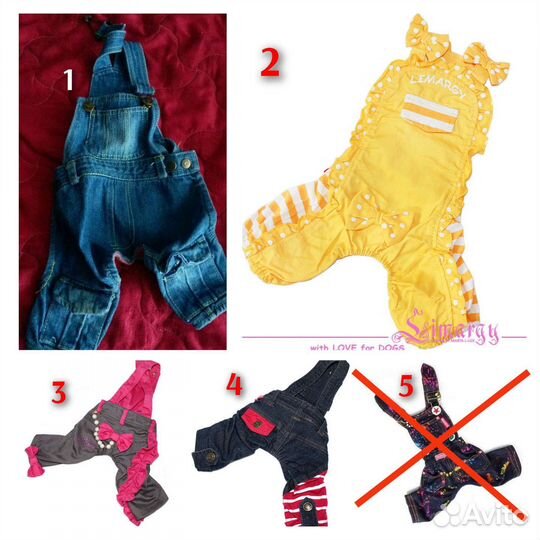 Костюмы, жилетки, дождевики для собак