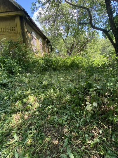 Дом 60 м² на участке 50 сот.