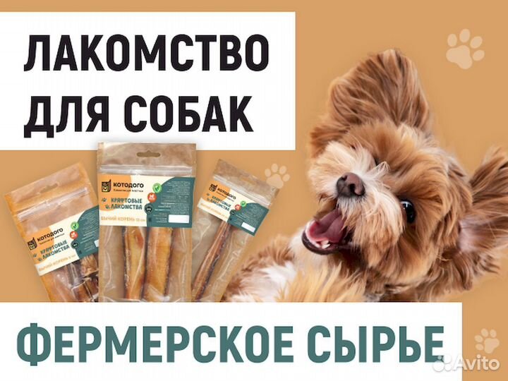 Корм для собаки. Без химии