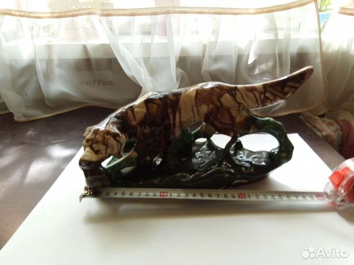 Собака на охоте