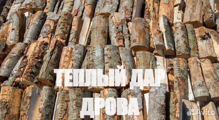 Дрова береза