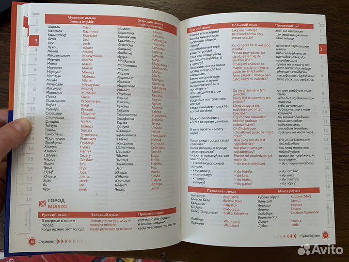 Польский язык. Самоучитель