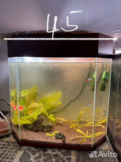 Аквариум с рыбками бу