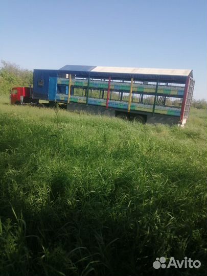 Полуприцеп пасека на 100 пчёлосемей