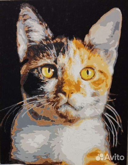 Картина 40/50