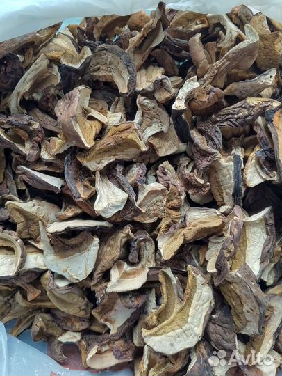 Рыжики, грузди, маслята, белые