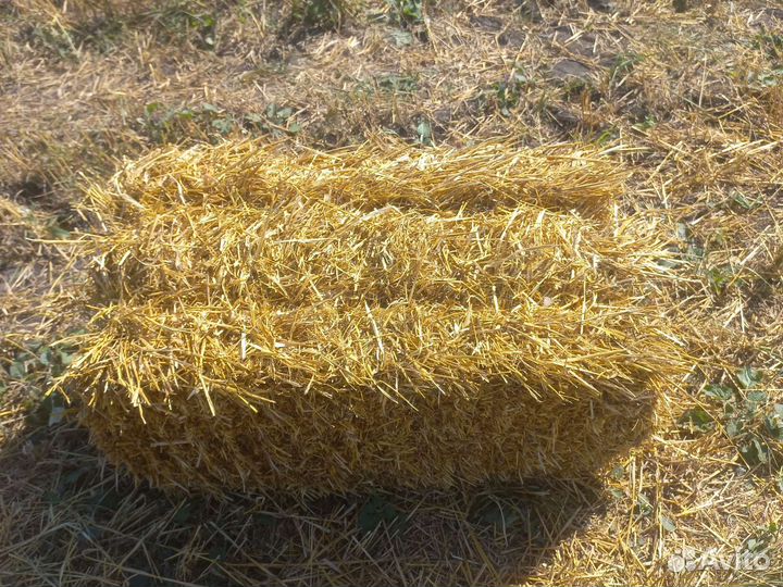 Солома в тюках