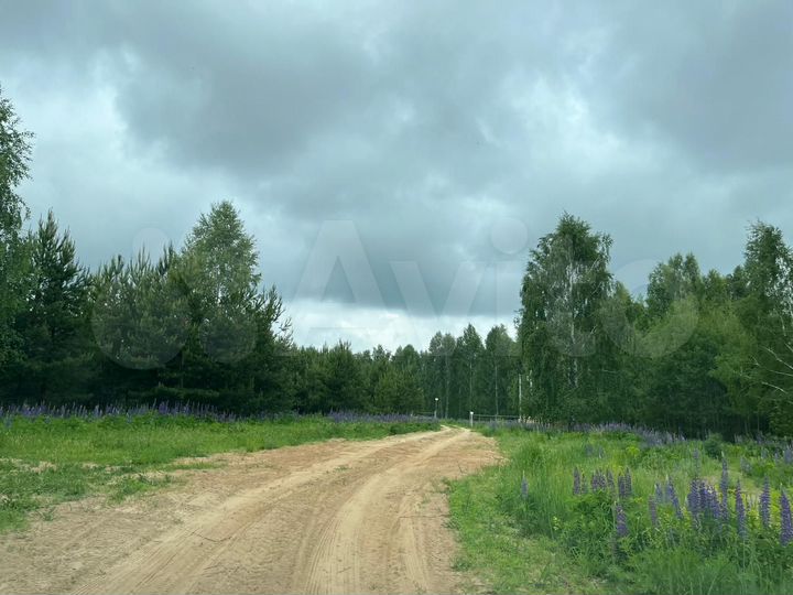 Участок 1,15 га (СНТ, ДНП)