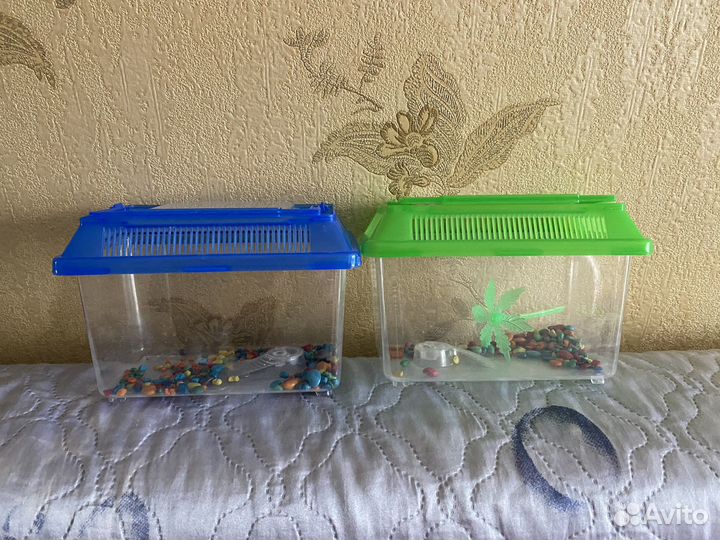 Аквариум пластиковый + креветки