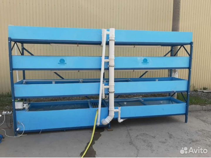 Высоко доходный бизнес под ключ рыбная ферма узв в