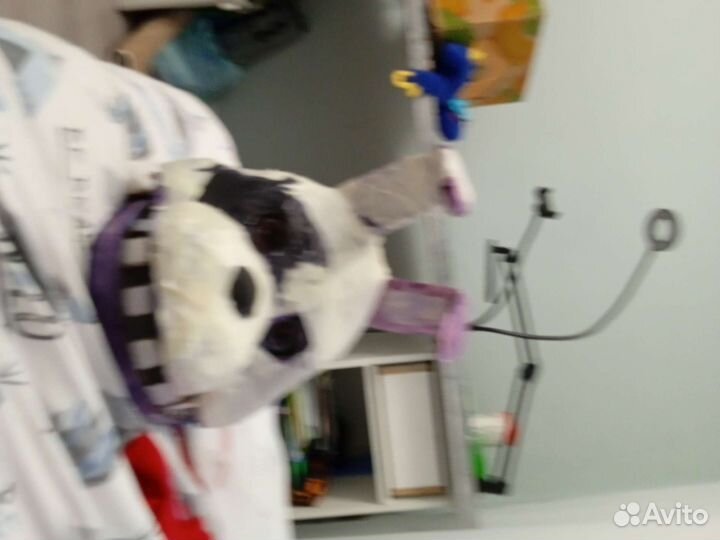 Бонни Торг есть