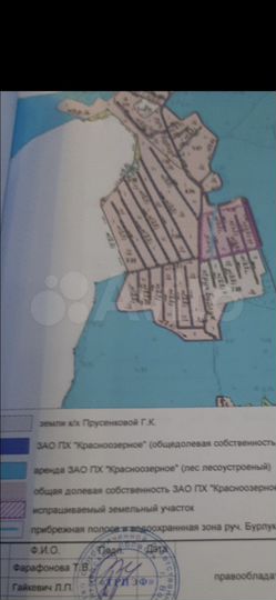 Участок 4,55 га (СНТ, ДНП)