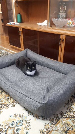 Лежанка для большой собаки XXL