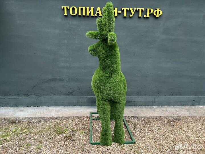 Топиари Топиарные фигуры Садовые фигуры