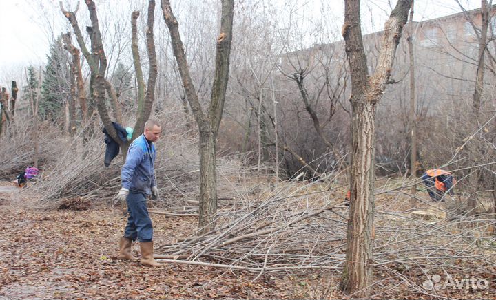 Вывоз мусора