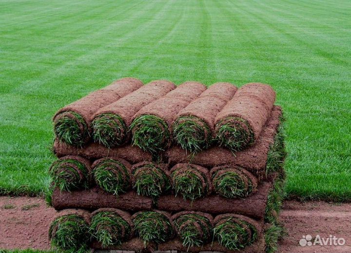 Газон под ключ. Рулонный газон