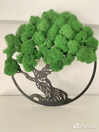 Дерево счастья Стабилизированный мох