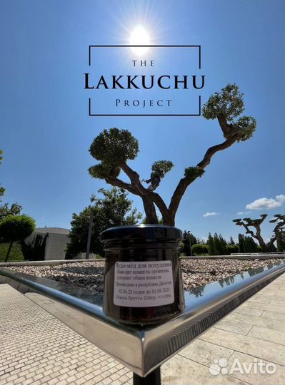 Чудо-мед для похудения