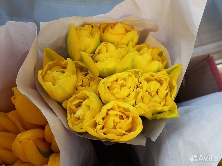 Желтые тюльпаны доставка