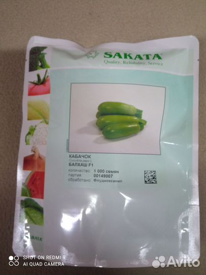 Кабачки семена балхаш