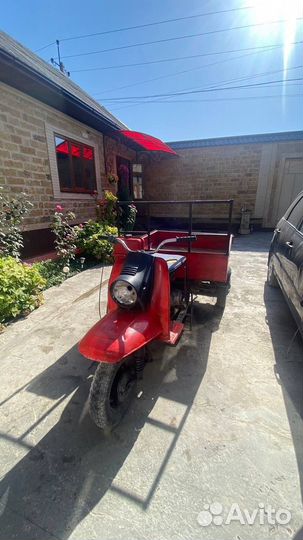 Мотороллер муровей