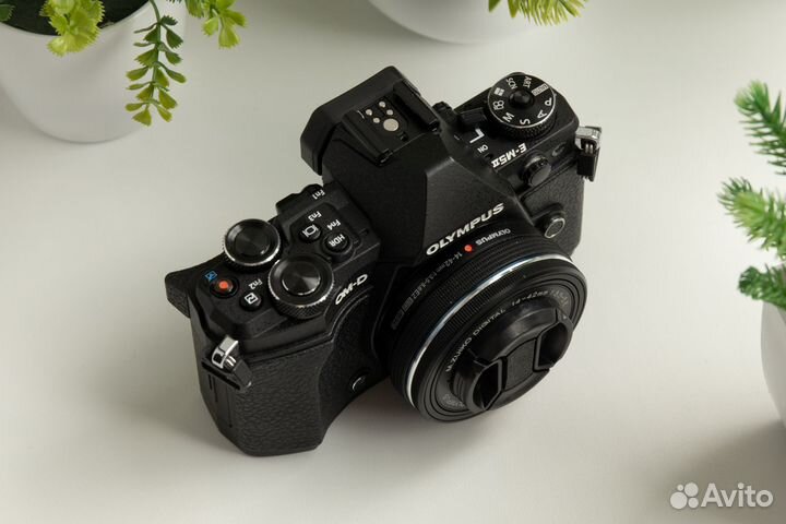 Olympus OM-D E-M5 Mark II Kit