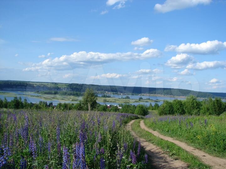 Участок 20 сот. (СНТ, ДНП)