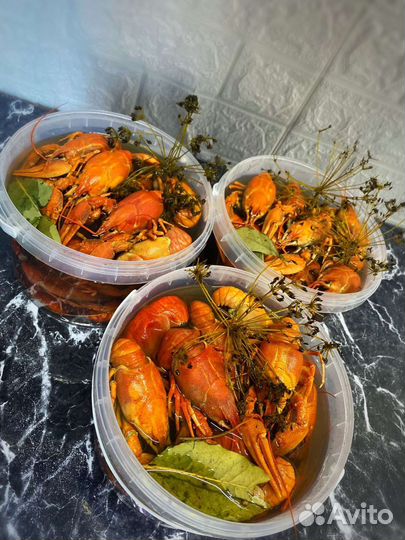 Раки актуальный прайс