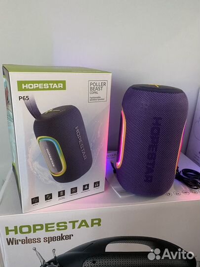 Колонка hopestar P65