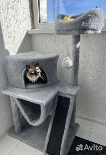 Домик для кошки с когтеточкой и лежанкой