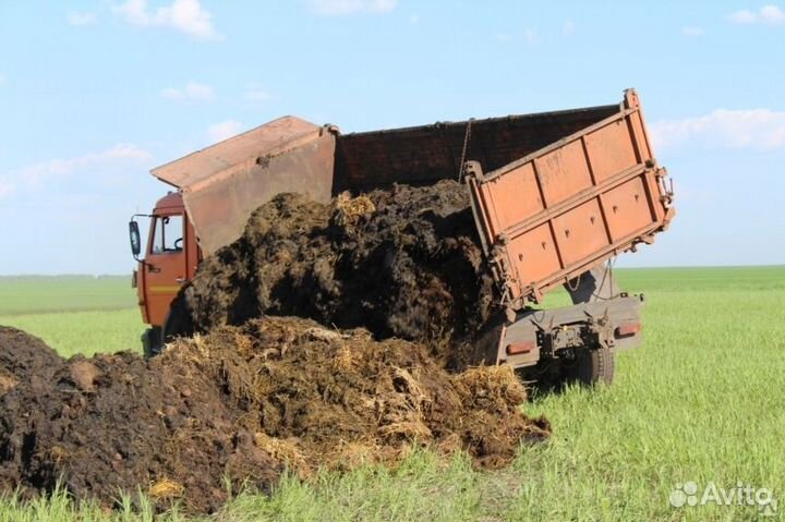 Навоз коровий прошлогодний с доставкой
