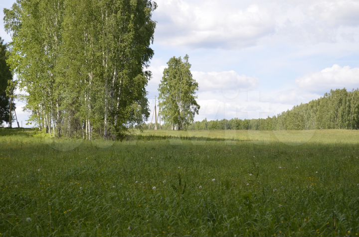 Участок 5 га (СНТ, ДНП)