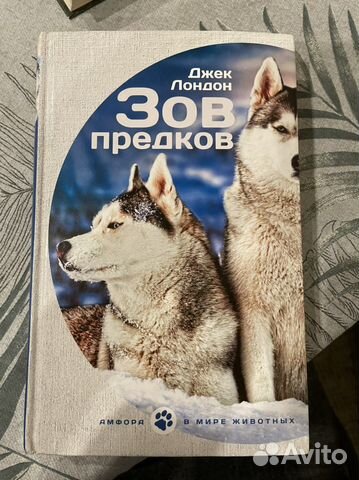Джек лондон зов предков иллюстрации. Джек лондон белый клык зов предков. Лондон белый клык зов предков аст. Зов предков логотип. Зов предков джек лондон книга.