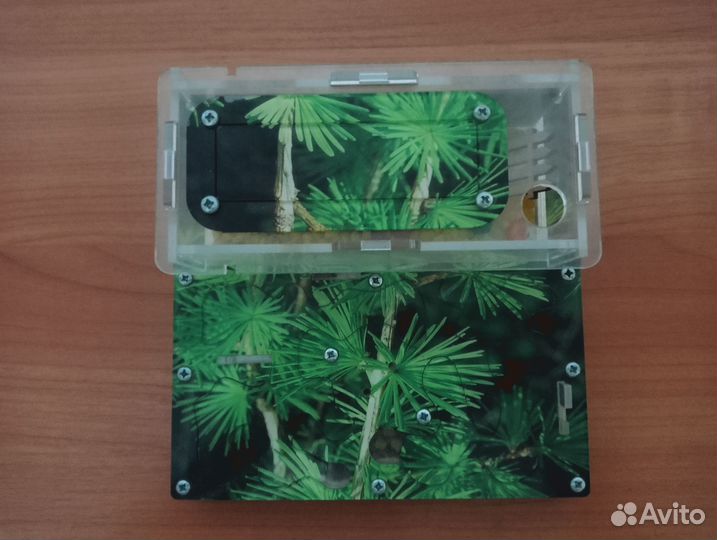 Муравьиная ферма