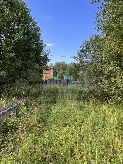 Участок 10 сот. (СНТ, ДНП)