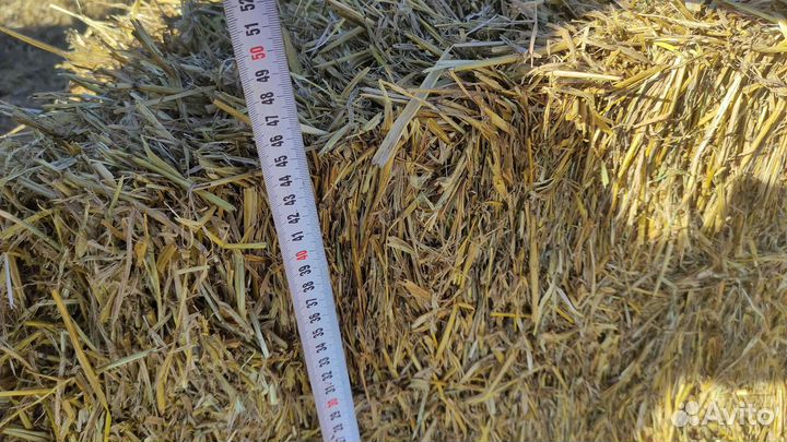 Солома ячменная в тюках