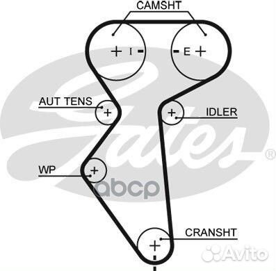 Зубчатый ремень привода грм PowerGrip 5419XS G