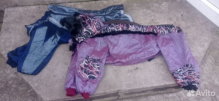 Шлейка для собаки