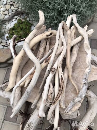 Морские палочки дрифтвуд 20-40 см