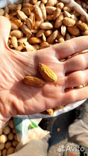 Миндаль мягкий, сладкий. Фундук Крым, грецкий, Мёд