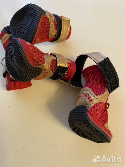 Обувь для маленьких собак